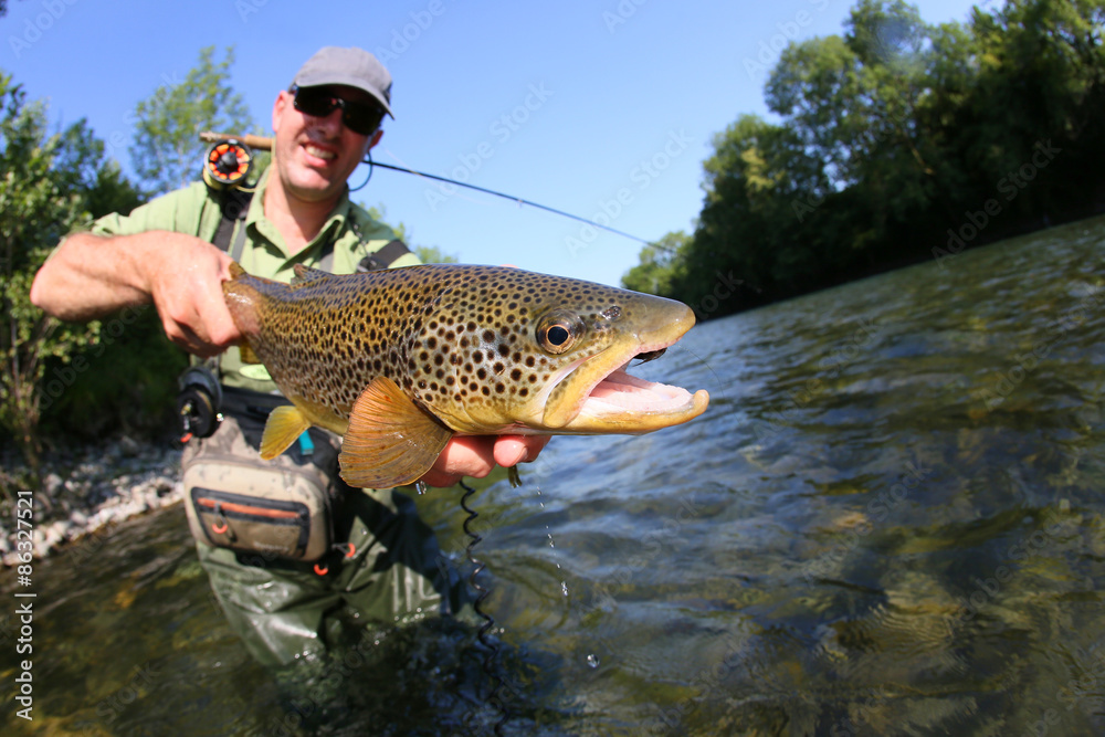 Closeup of fly-fisherman holding brown truit in river Closeup of fly-fisherman holding brown truit in river