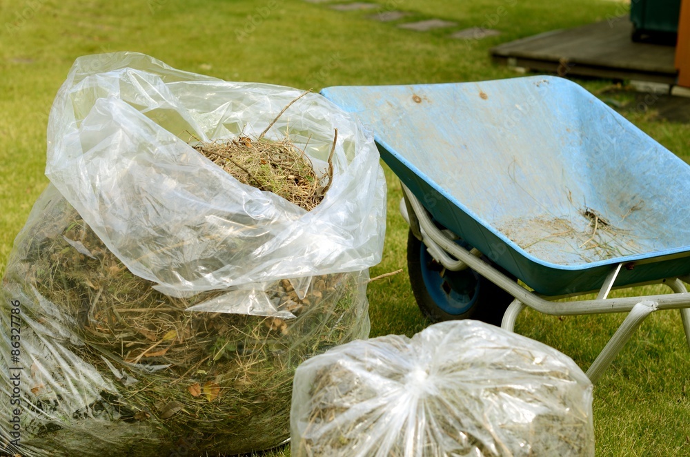 Obraz premium 庭掃除