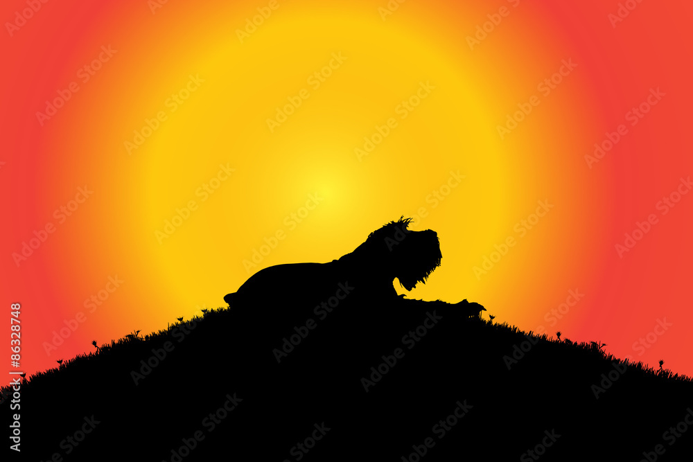 Obraz premium Vector silhouette.