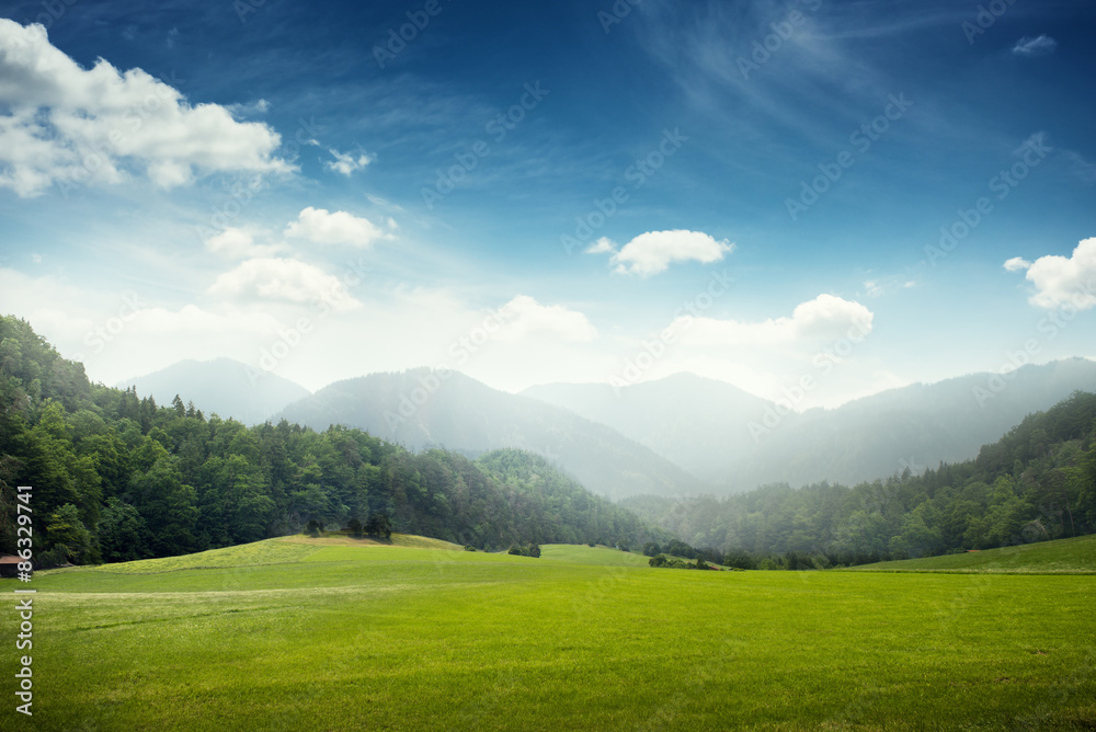 green meadow and hills with forest - obrazy, fototapety, plakaty 