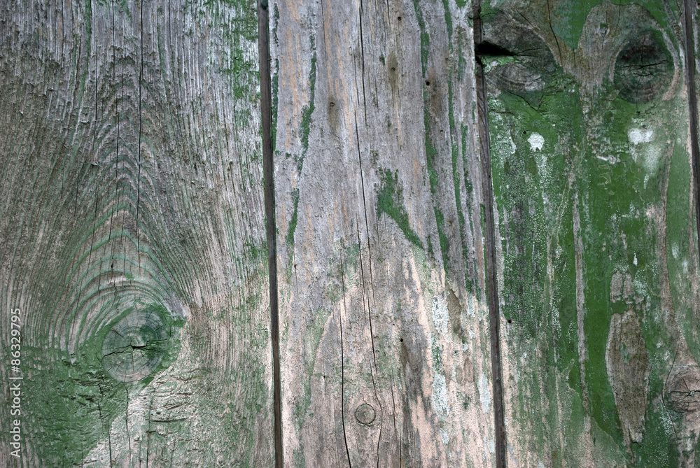 Obraz premium Holz Hintergrund grau / grün