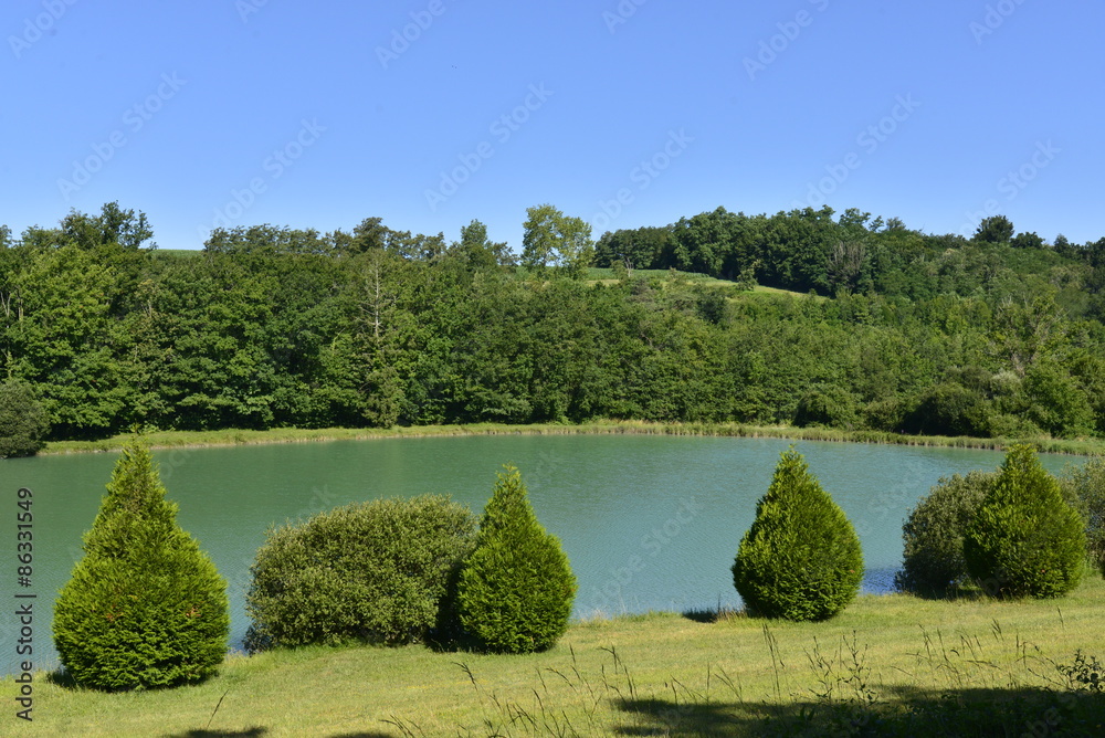 La végétation en été autour de l'étang vert émeraude à Champagne-et-Fontaine