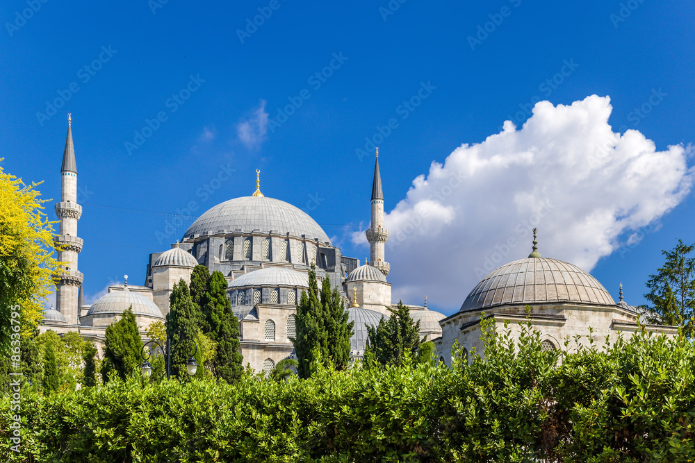 Istanbul, Turkey. Suleymaniye Mosque and mausoleum