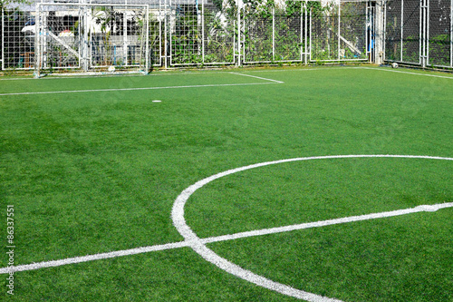 Soccer field artificial grass