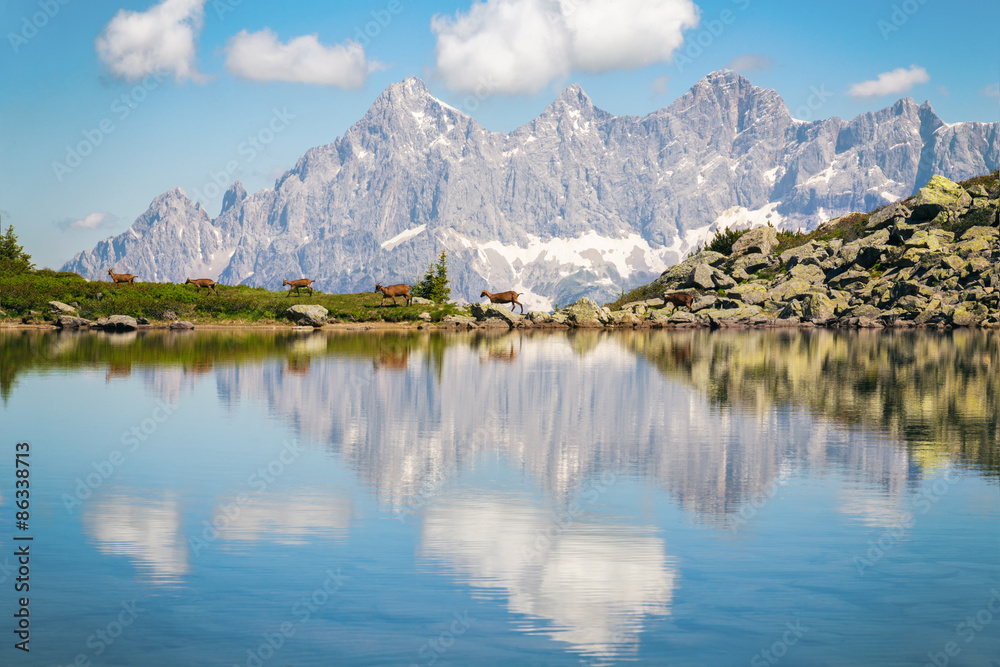 Naklejka premium Spiegelsee mit Ziegen in reihe und Glied spiegeln sich im Wasser