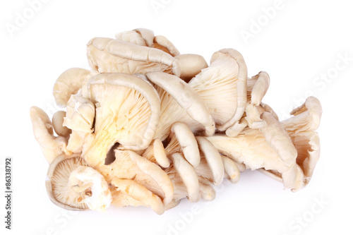 Uncooked oyster mushrooms