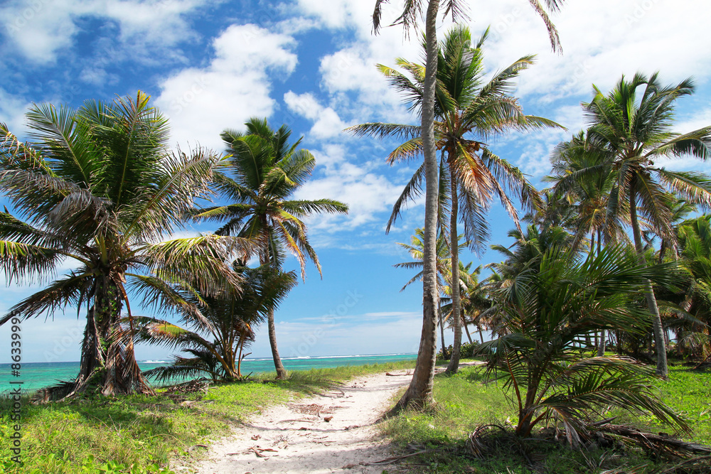 Path on caribbean beach