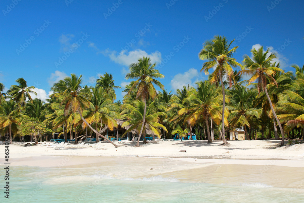 Palms on tropical beach