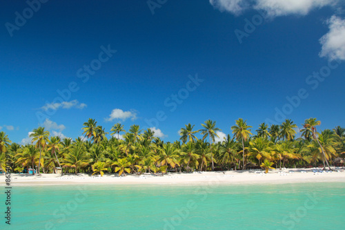 Palms on tropical beach photo