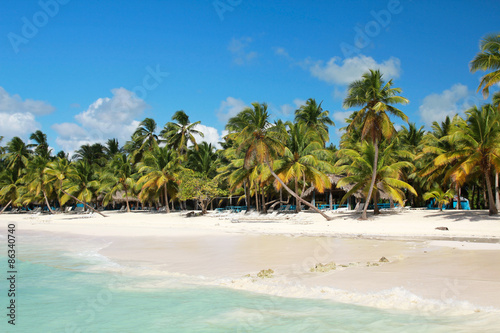 Palms on caribbean sea © photopixel