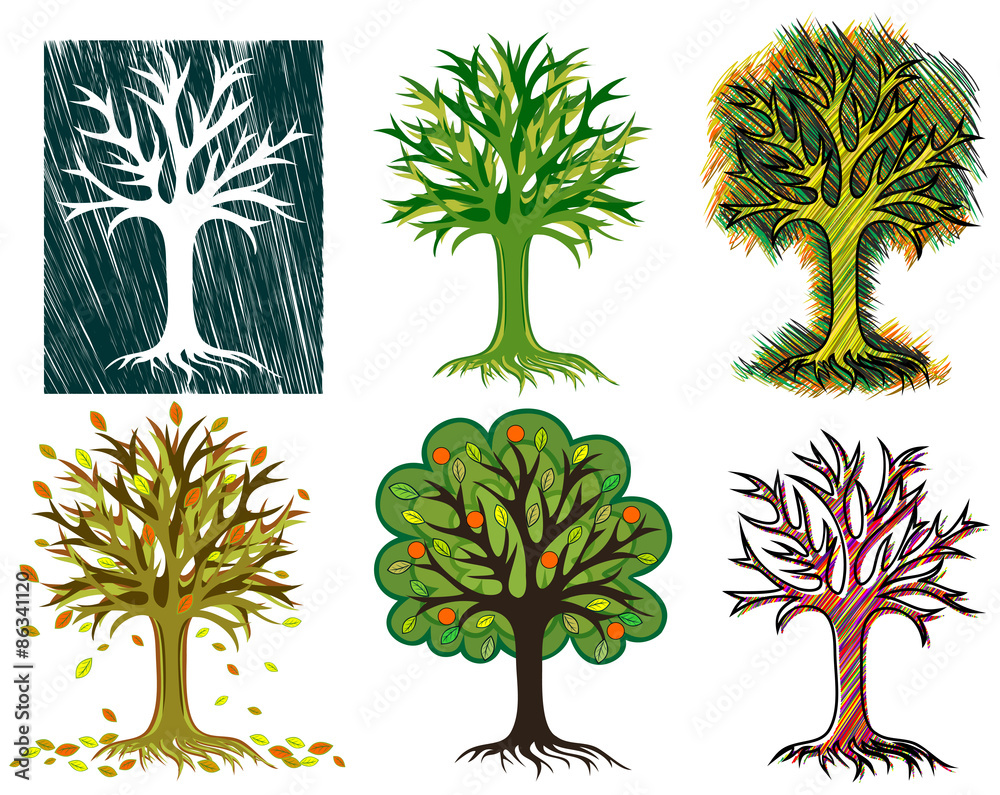 Different types of trees 369389 Vector Art at Vecteezy
