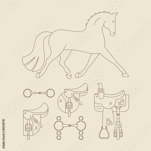 Horse Gear