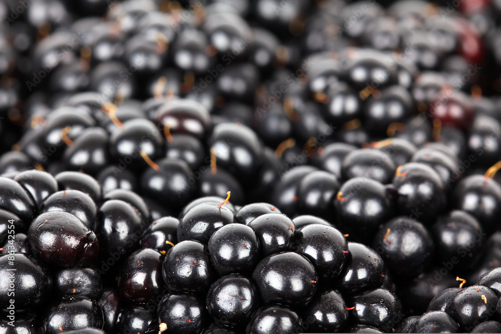 Blackberry