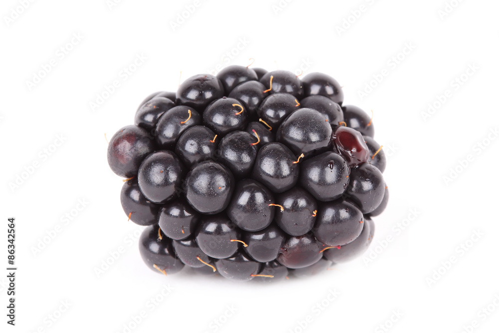 Blackberry Blackberry