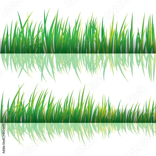 Green Grass, Isolated On White Background, Vector Illustration