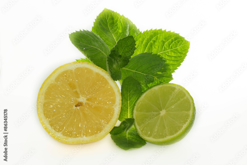 lime,lemon and mint isolated lime,lemon and mint isolated