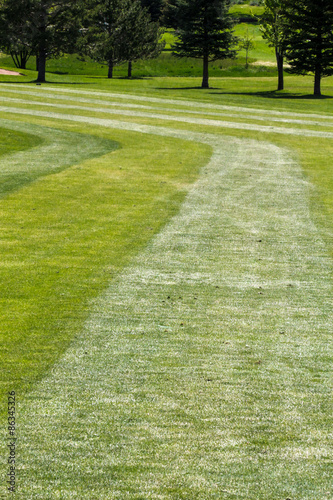 Curving striped grass on the fairway at a golf course, dogleg left photo