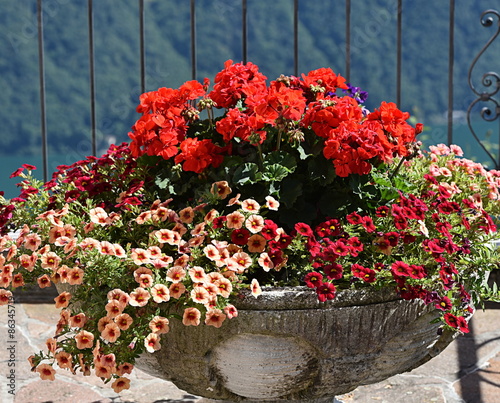 Fototapeta Naklejka Na Ścianę i Meble -  arrangement floral