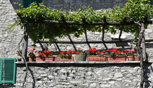 Fototapeta Naklejka Na Ścianę i Meble -  arrangement floral