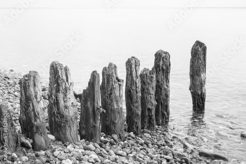 Weathered wooden groin at beach