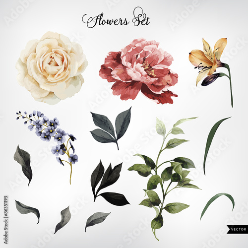 Flowers and leaves, watercolor, can be used as greeting card, in