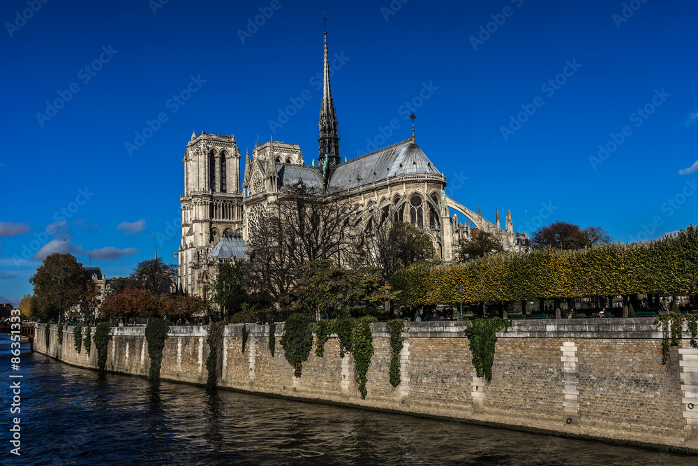 Cathedral Notre Dame de Paris on Cite Island, Paris, France. Cathedral Notre Dame de Paris on Cite Island, Paris, France.