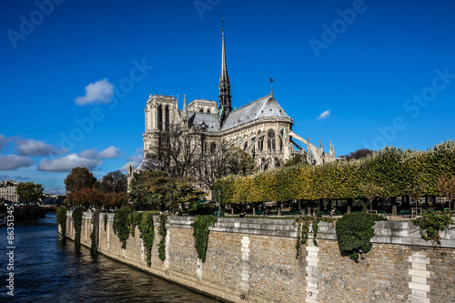 Cathedral Notre Dame de Paris on Cite Island  Paris  France.