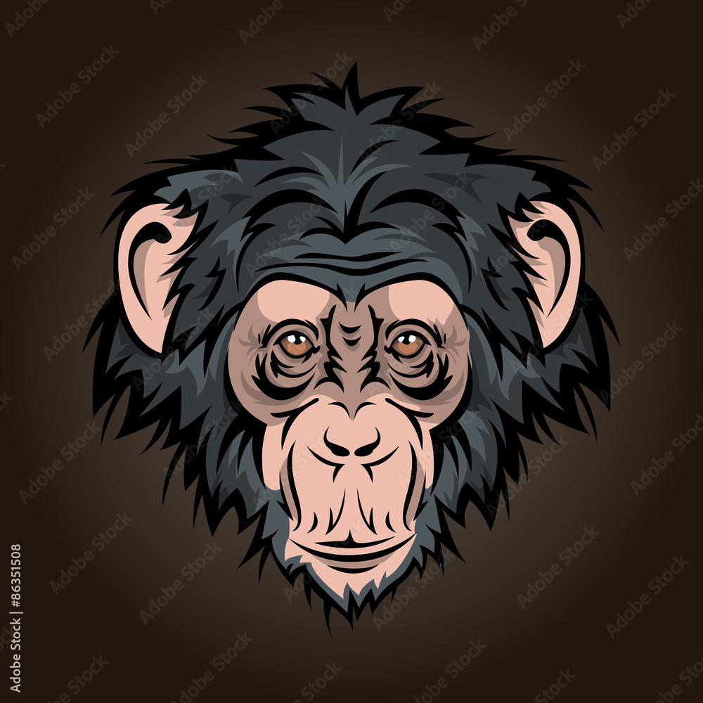 Obraz premium chimp