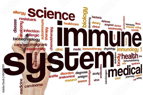 Immune system word cloud photo