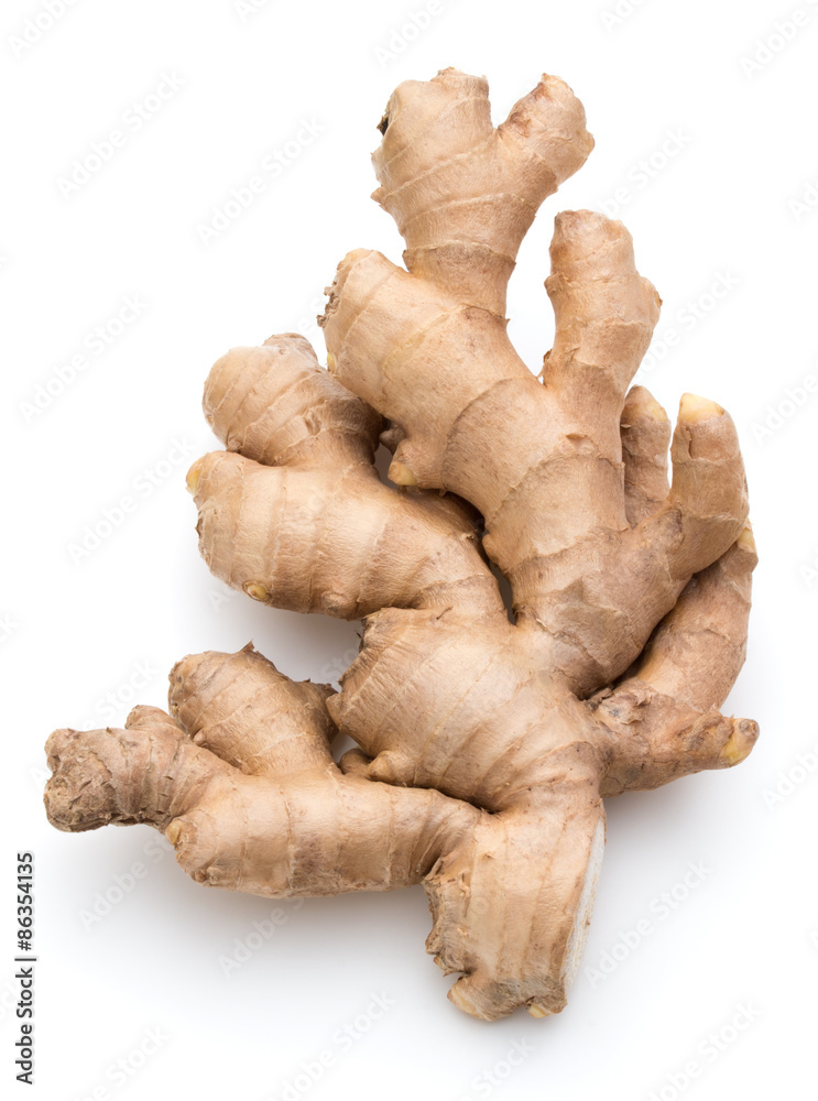 Fresh ginger root or rhizome isolated on white background cutout Fresh ginger root or rhizome isolated on white background cutout