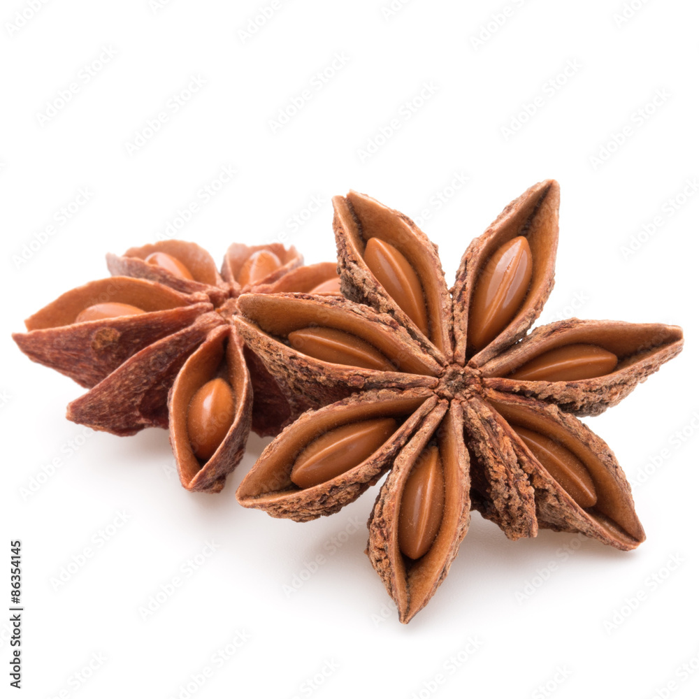 Star anise spice fruits and seeds isolated on white background c Star anise spice fruits and seeds isolated on white background c
