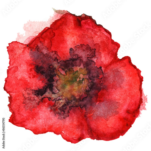 Wallpaper Mural Watercolor red poppy vector isolated Torontodigital.ca