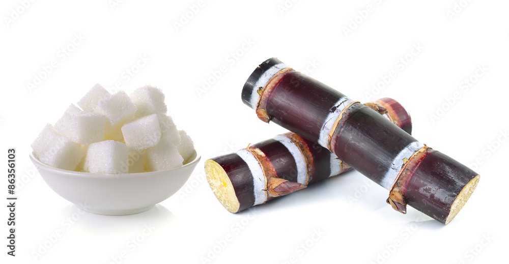 sugar cane and sugar cube on white background