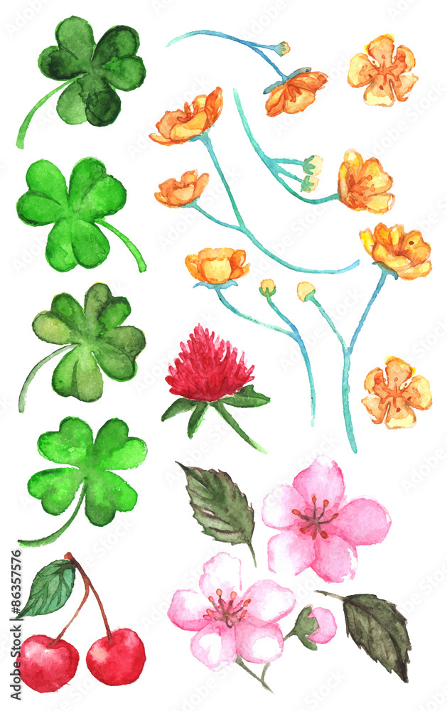 Flowers clover cherry berry buttercup set vector clip art isolated Flowers clover cherry berry buttercup set vector clip art isolated