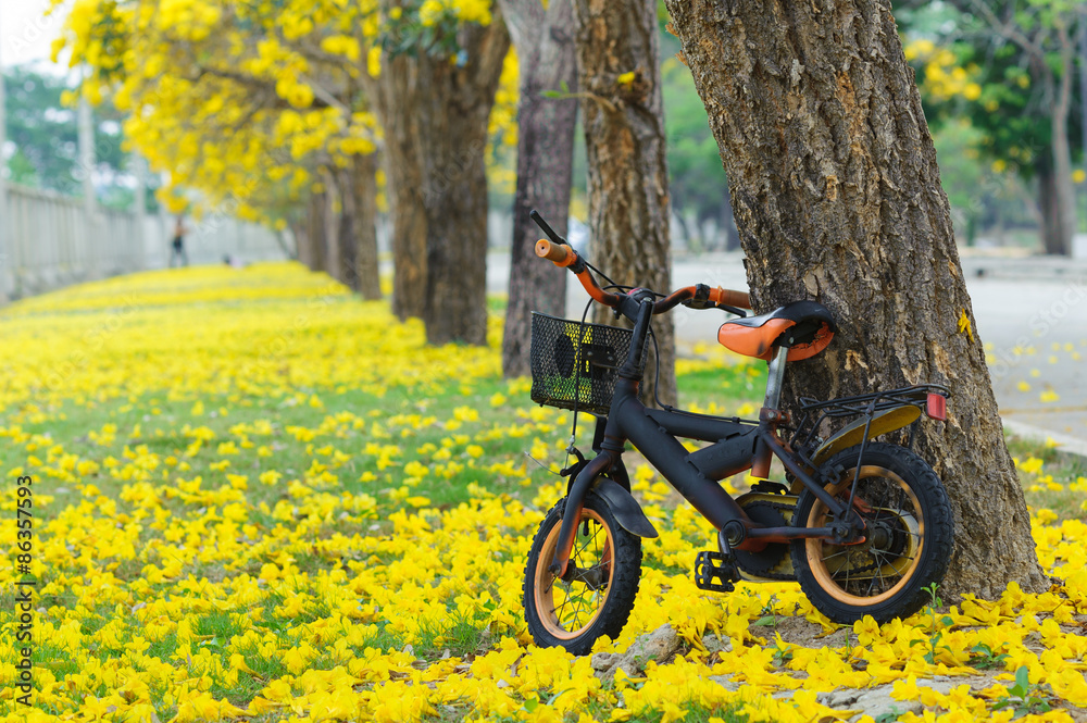 Fototapeta premium Bicycle in the park