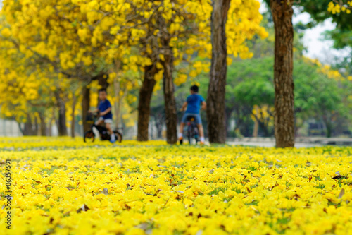 Out focus Boy ride bicycle