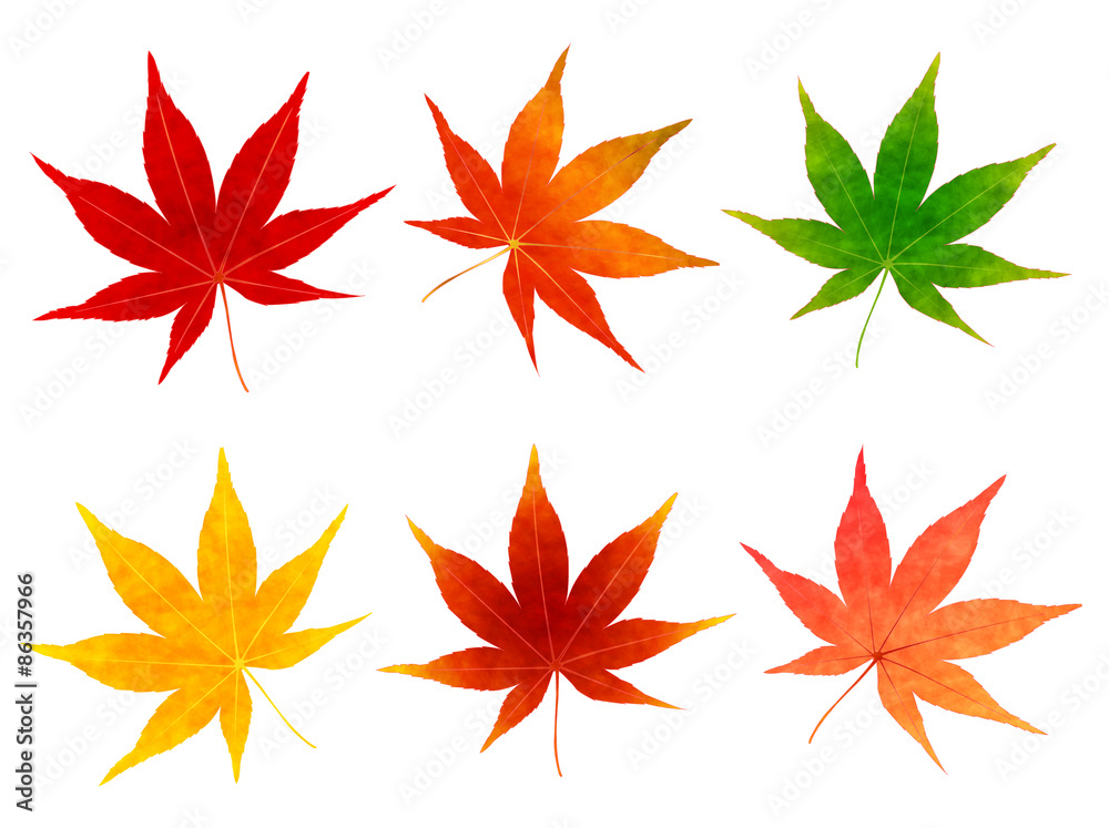 もみじ　紅葉　アイコン