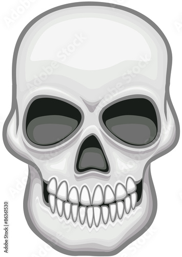 Skull vector image