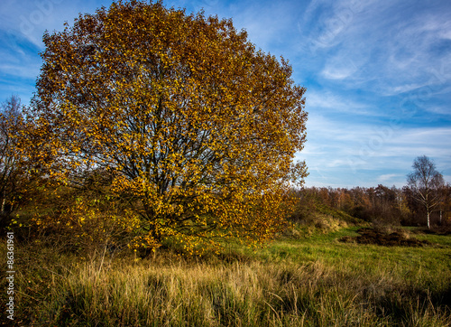 Herbstlandschaft im Ober-Olmer Wald bei Mainz