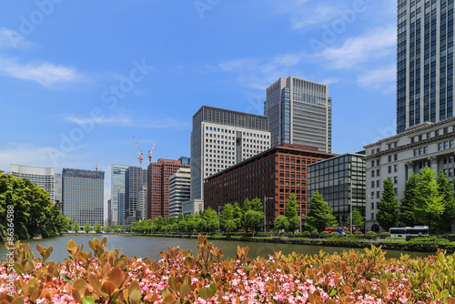 Building in Tokyo from park view in sunny day