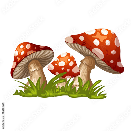 Illustration of a red mushroom in the grass