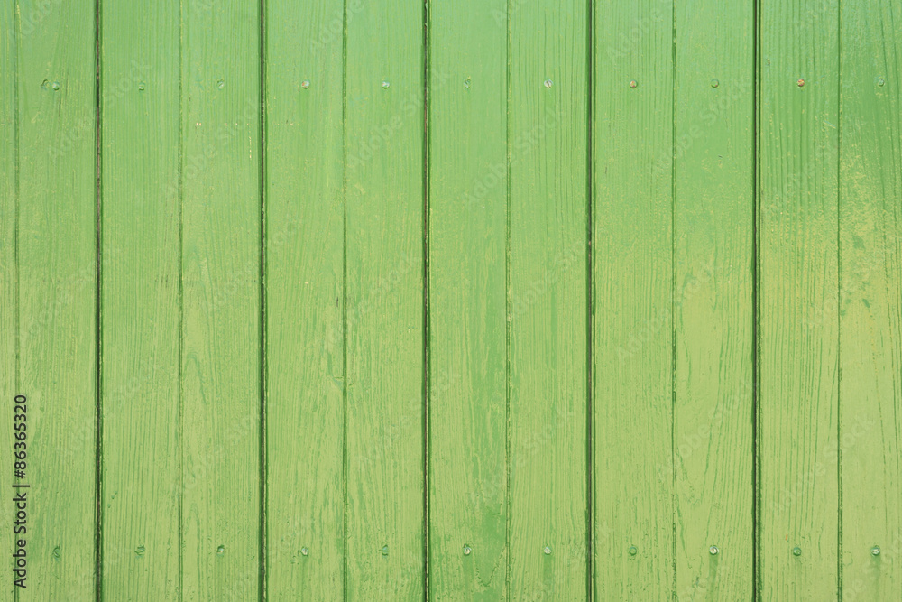 Holz Wand Grün 