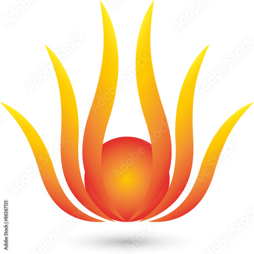 Feuerblume Logo, Pflanze, Sonne