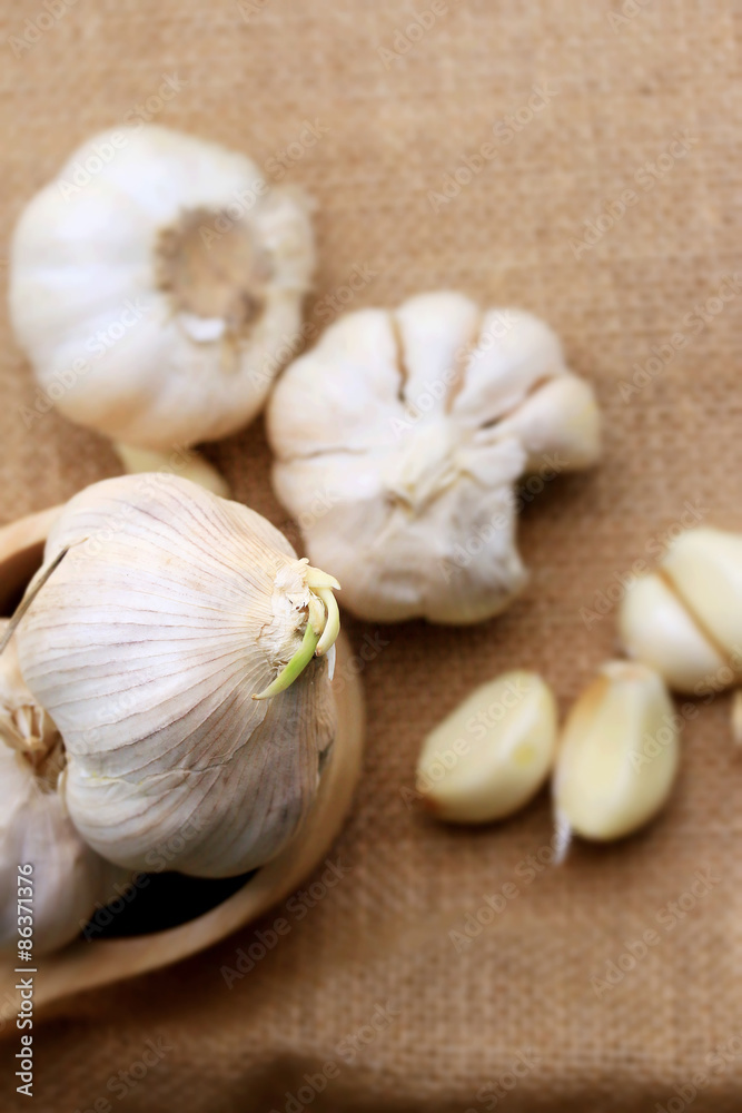 Garlic Garlic