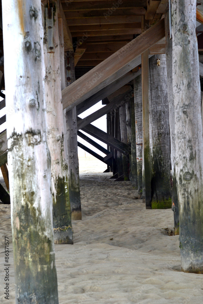 Holzpfähle am Strand Stock Photo | Adobe Stock