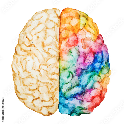 Watercolor brain