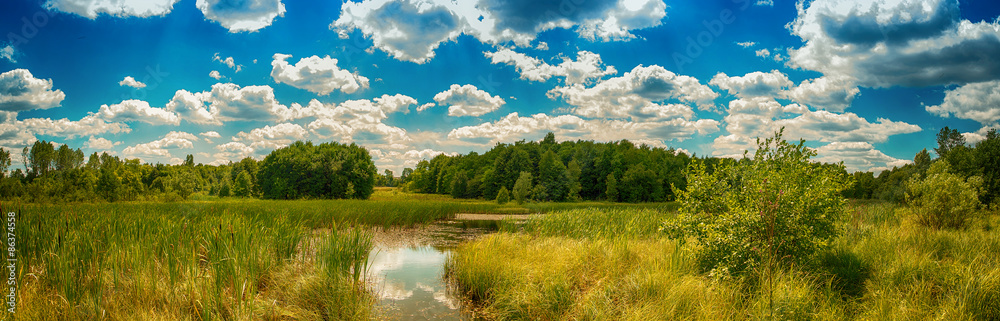 Pond