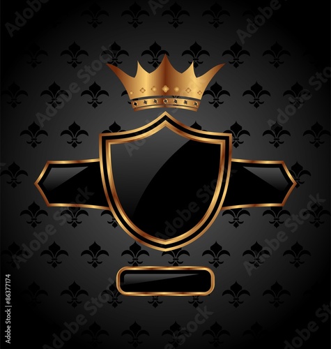 ornate heraldic shield with crown
