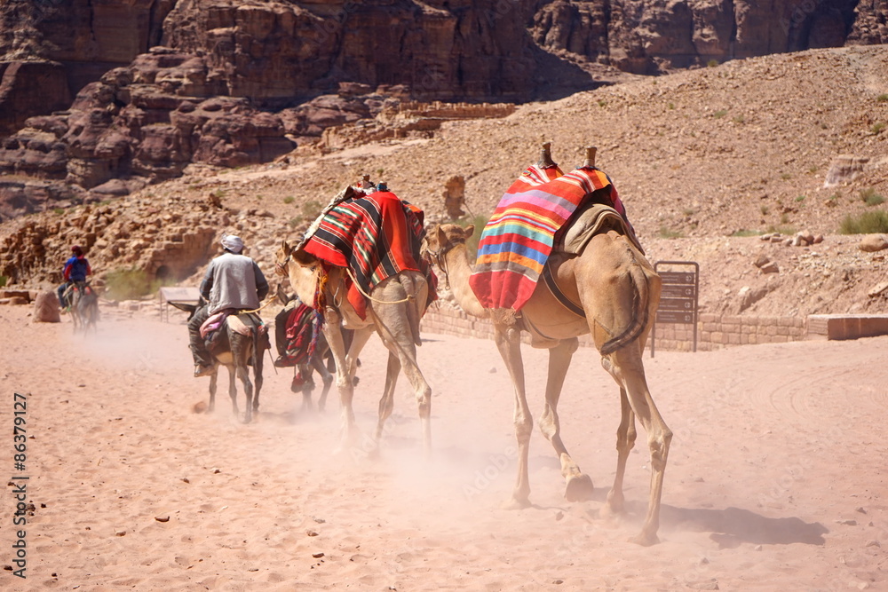 Camels on the desert/砂漠の上の遊牧民とラクダ Stock 写真 | Adobe Stock