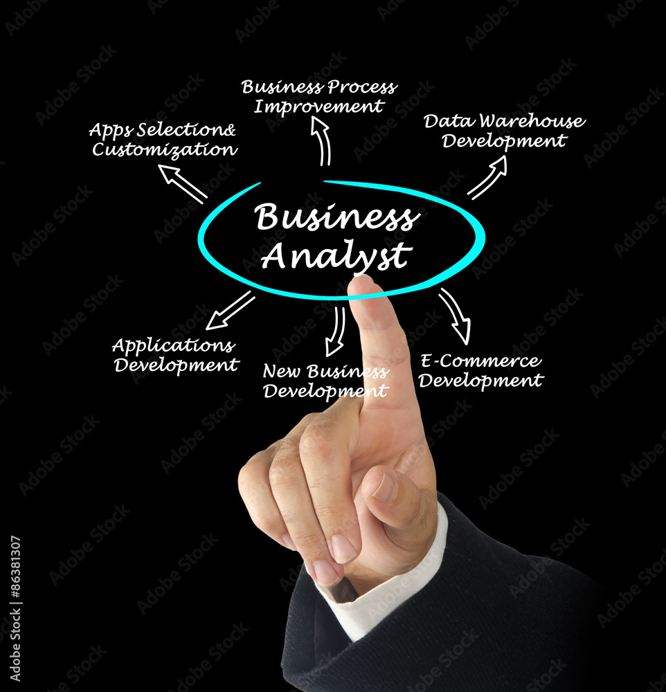 Business Analyst Business Analyst